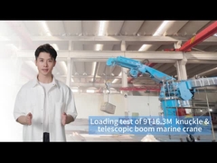 Cần cẩu tàu 9T16.3M để xử lý hàng hóa hiệu quả